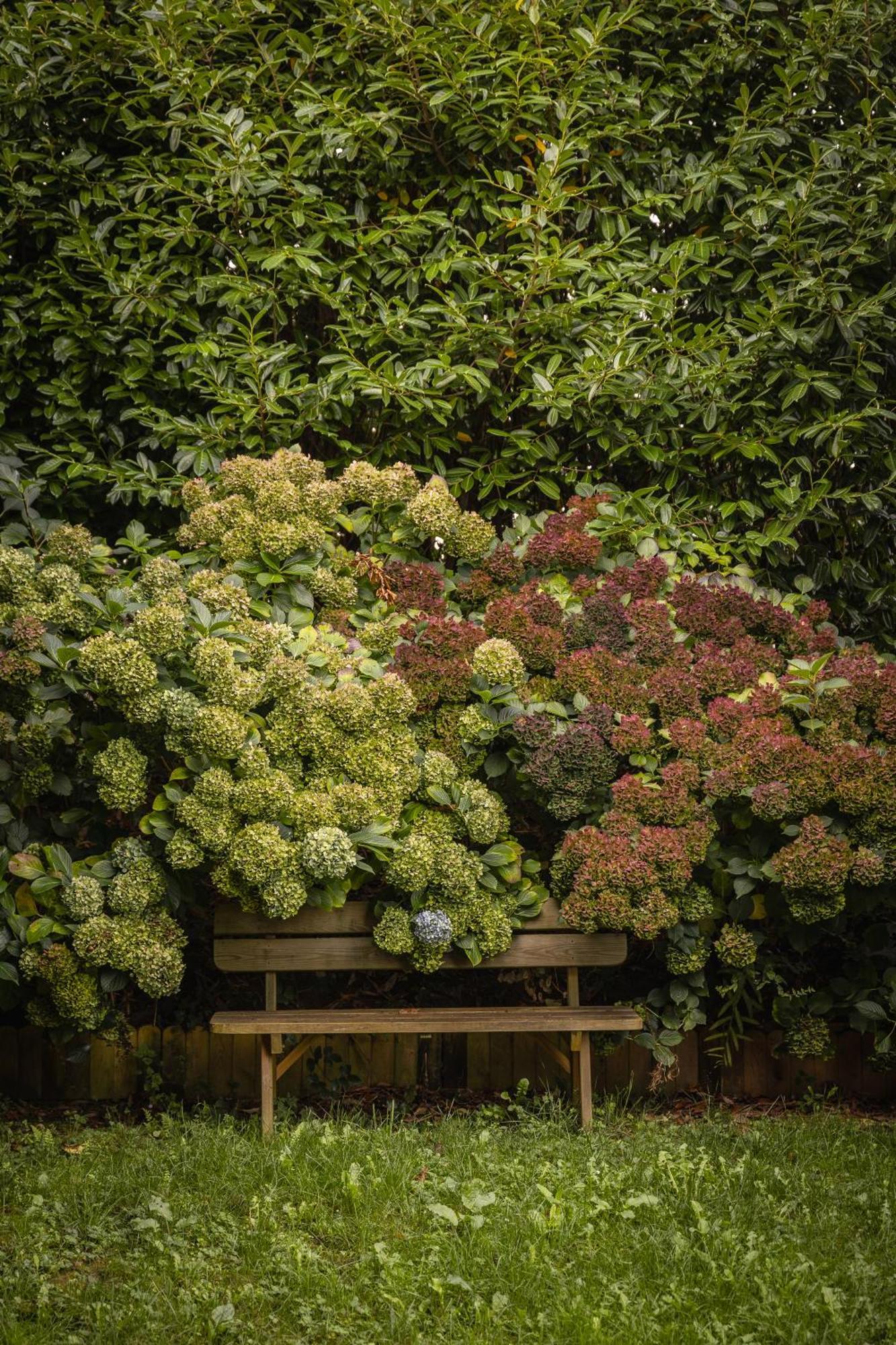 Le Jardin Enchanteur, Chaleureuse Maison D'Hotes Eco-Responsable, Calme Et Accueillante Loperec ภายนอก รูปภาพ